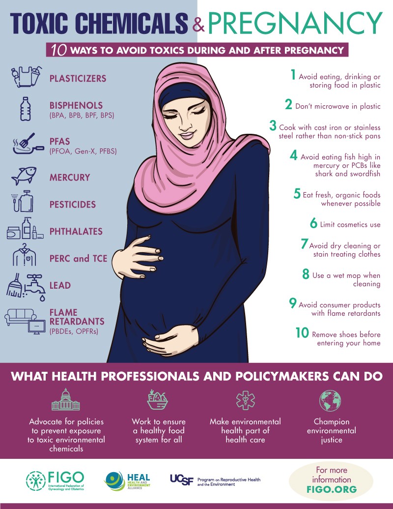 https://www.env-health.org/wp-content/uploads/2020/07/FIGO-PregToxicChem-Infographic-4rev.jpg